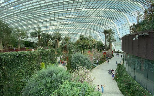 Interior view of the Flower Dome at Gardens by the Bay in Singapore, showcasing an array of lush plants and flowers under a vast glass ceiling, with visitors enjoying the garden paths.