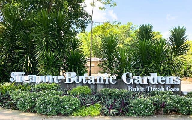 The entrance sign 'Singapore Botanic Gardens Bukit Timah Gate' set against lush tropical foliage under a bright sky, inviting visitors to explore the natural beauty within.