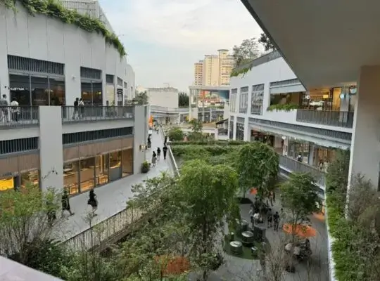 One Holland Village-By Benita Lee