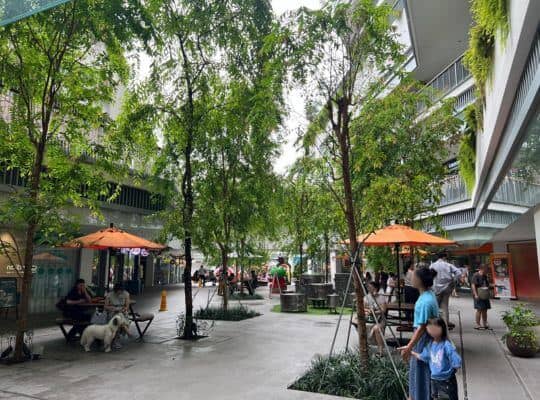 One Holland Village Courtyard