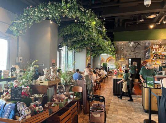 Surrey Hills Grocer-Cosy & Green
