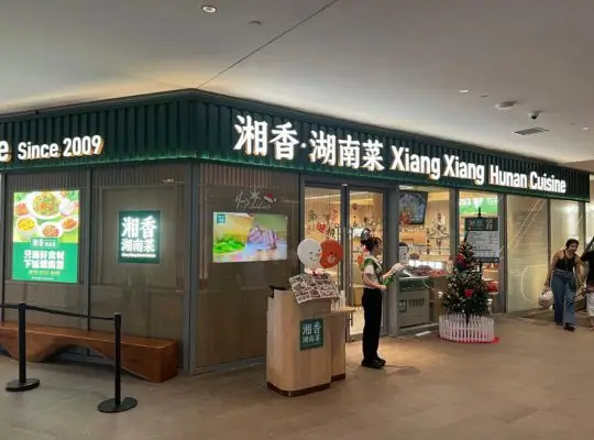 Xiang Xiang Hunan Cuisine-One Holland Village