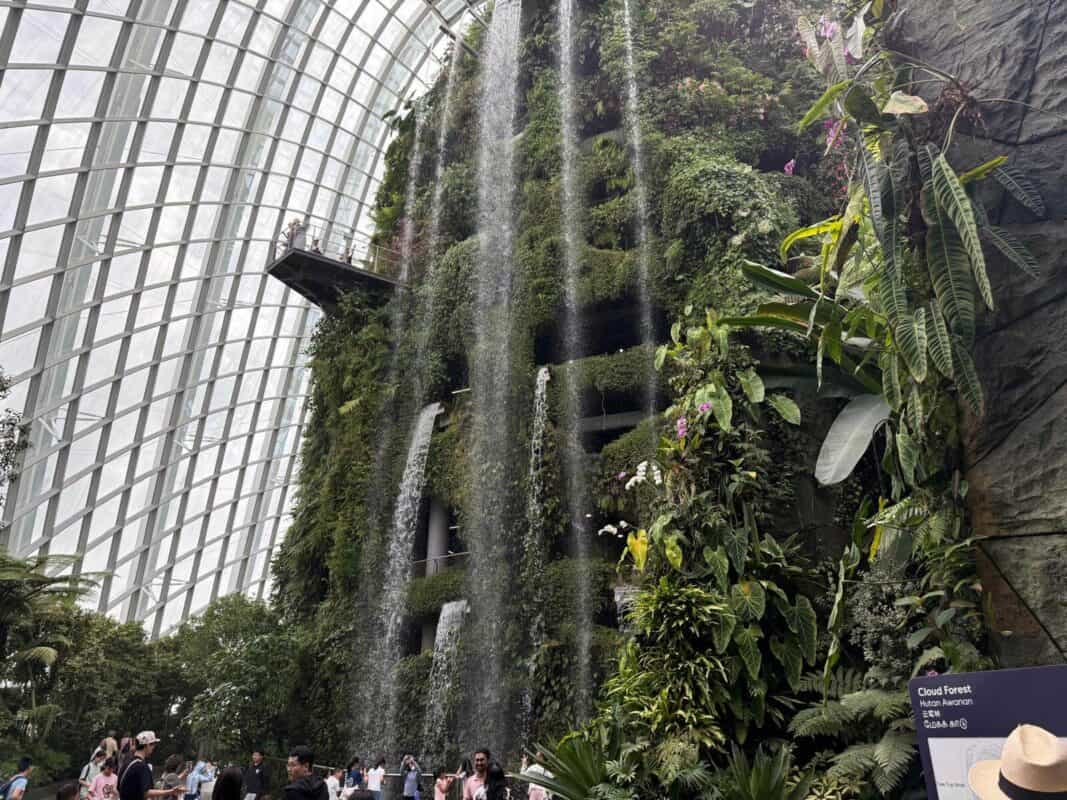 The towering indoor waterfall at the Cloud Forest in Singapore’s Gardens by the Bay, cascading down a lush, plant-covered wall inside a massive glass conservatory.